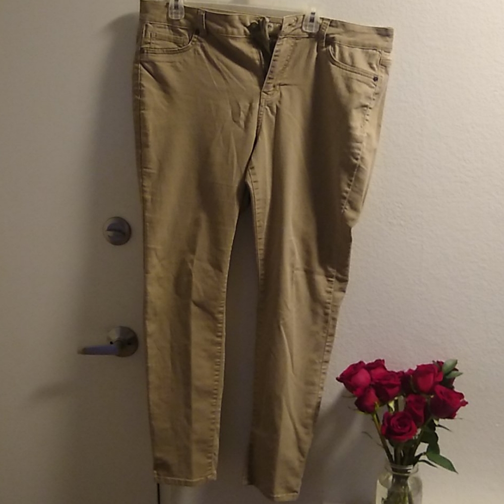 d. Jeans new york